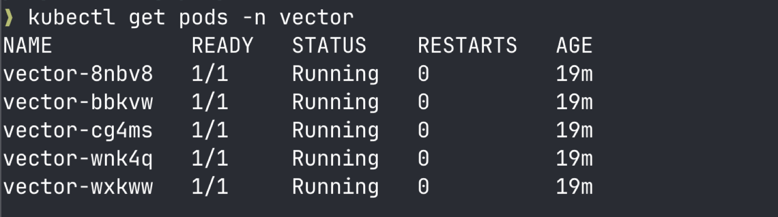 Vector DaemonSet pods, one per node